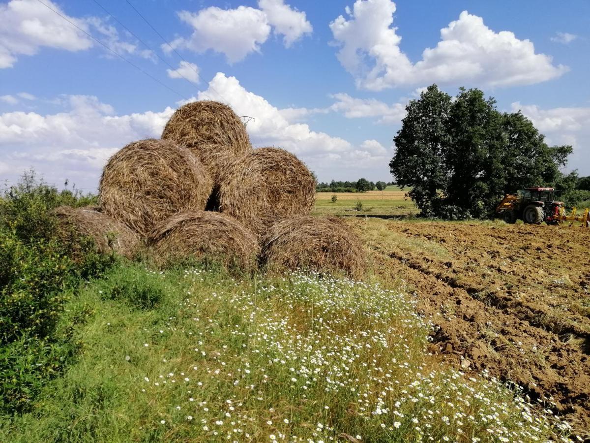 Hotel Rural Lajafriz Fornillos de Aliste Esterno foto
